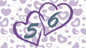 Compatibilidad de pareja 5 y 6